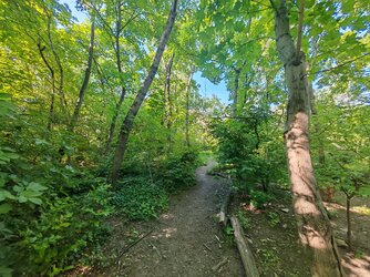 IMG_20250502_163619.jpg