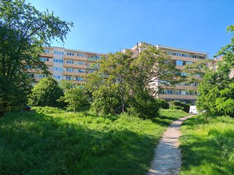 IMG_20250502_164546.jpg