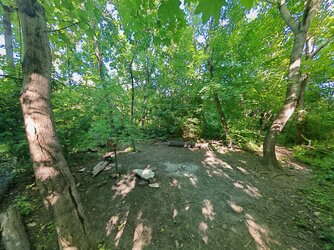 IMG_20250502_163623.jpg