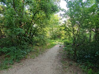 IMG_20250502_162302.jpg