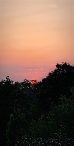 IMG_20250503_063755.jpg