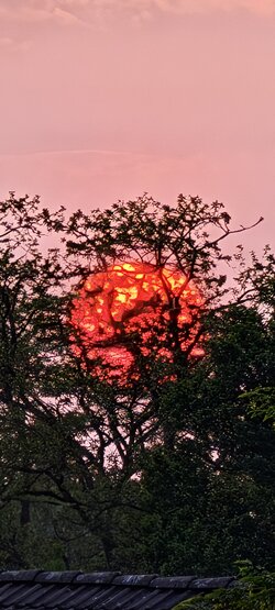 IMG_20250502_204217.jpg