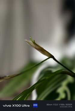 IMG_20250503_093502.jpg