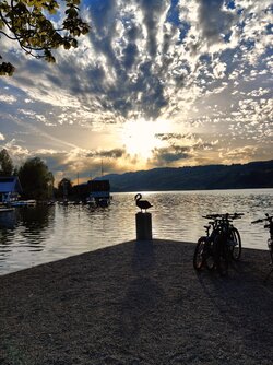 IMG20250502190453~2.jpg