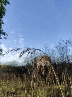 IMG20250502185552.jpg