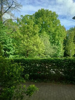 20250503_094651.JPG