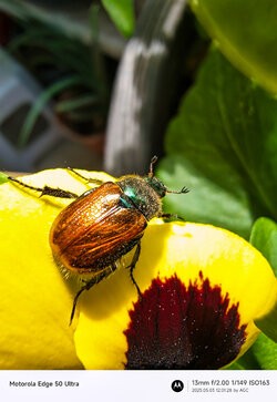 Gcam20250503_120128261.jpg