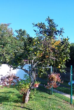 IMG_20250503_104022~2.jpg