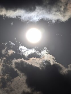 IMG_20250503_182915.jpg