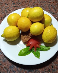 IMG_20250503_170415.jpg