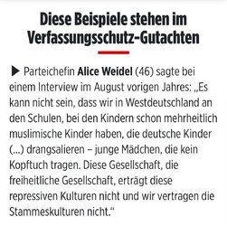 gesichertrechtsextrem.jpg