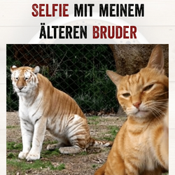 Quotes-Creator-com.ist_.quotescreator-1746257951995.png