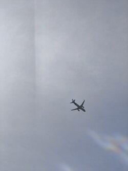 IMG20250502150137.jpg