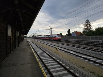 20250504_071246(3).jpg