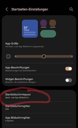 Screenshot_20250504_202059_One UI Home.jpg