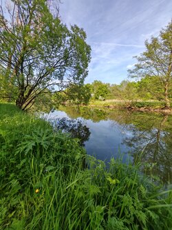 IMG_20250502_164238.jpg