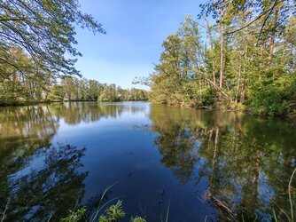 IMG_20250502_170342.jpg