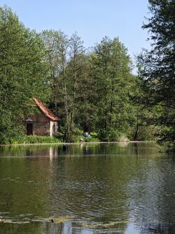 IMG_20250502_172351.jpg