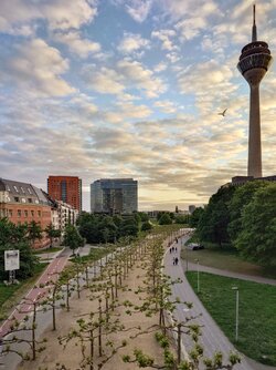 20250504_202545 (1).JPG