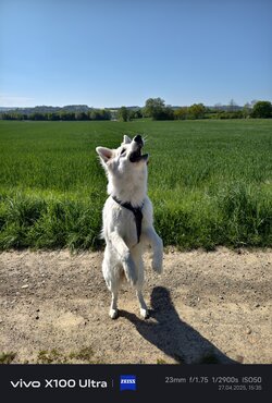IMG_1751.jpeg