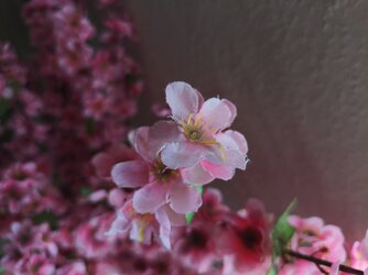 IMG_20250505_090733.jpg