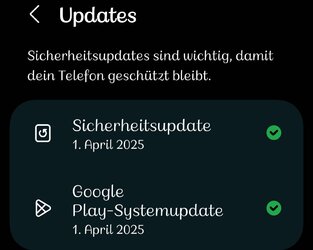 Screenshot_20250505_132738_Settings.jpg