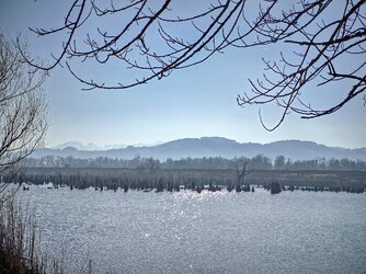 PS_20250308_151053_3_hdr_C1-topaz-sharpen-denoise_Radiant.jpg