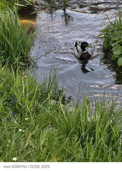 IMG_20250429_171347.jpg