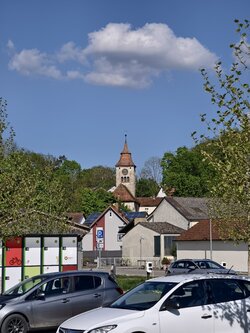 IMG_20250429_163558.jpg