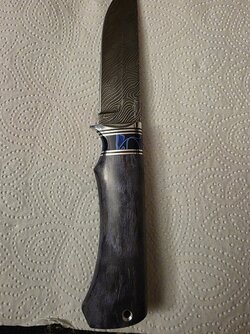 20250505_191757.jpg