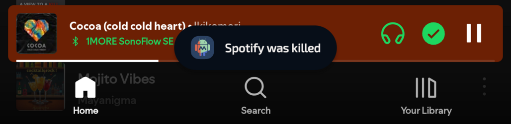 Screenshot_20250505-211333.Spotify (1)_1.png