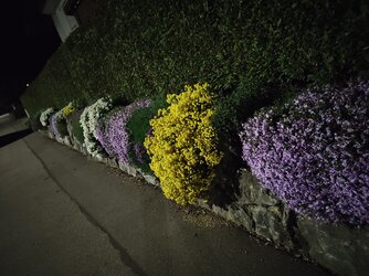 IMG20250506001431.jpg