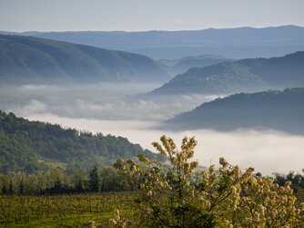 IMG_20250430_073221-Verbessert-RR.jpg