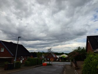 20250504_165724.JPG