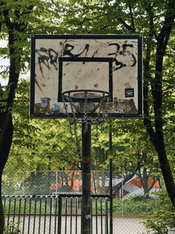IMG_20250506_124441.jpg