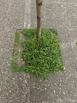 20250506_125925.jpg