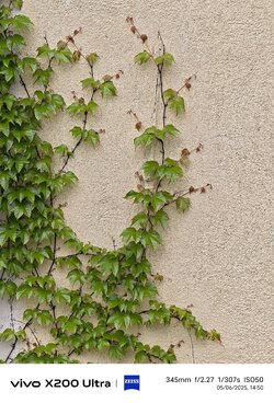 IMG_20250506_145026.jpg