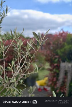 IMG_20250506_171618.jpg