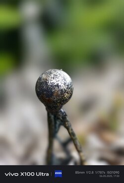 IMG_20250506_172047.jpg