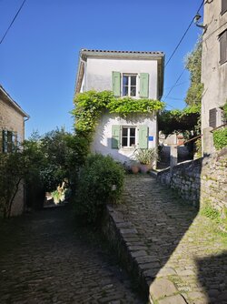 IMG_20250430_080327.jpg