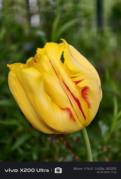 IMG_20250506_172625.jpg