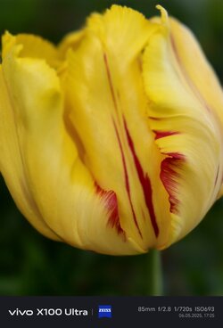 IMG_20250506_172548.jpg