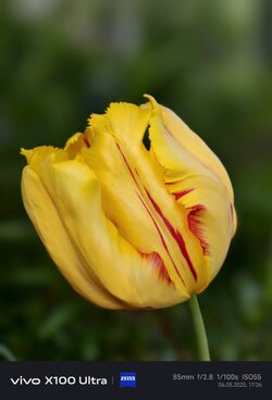 IMG_20250506_172621.jpg