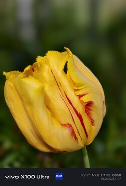 IMG_20250506_172701.jpg