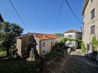 IMG_20250430_080451.jpg