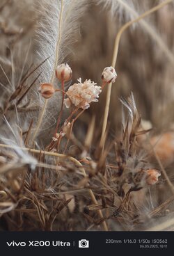 IMG_20250506_181148.jpg