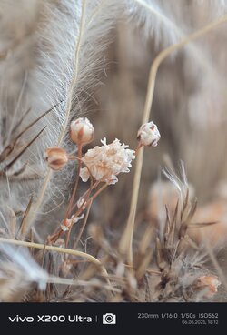IMG_20250506_181247.jpg