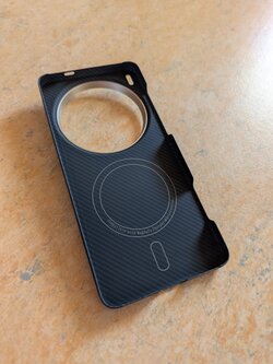 PXL_20250506_171840728.MP.jpg