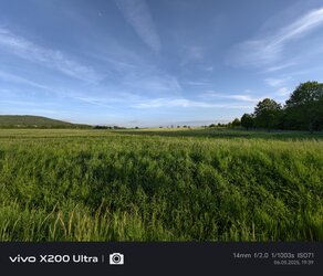 IMG_20250506_193921.jpg