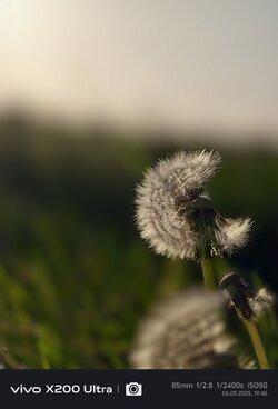 IMG_20250506_194513.jpg